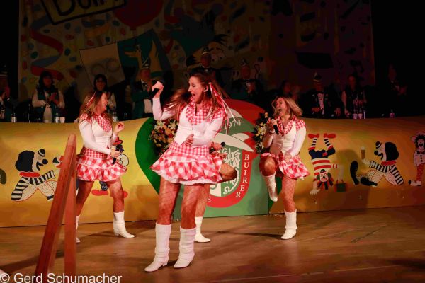 kostuemsitzung-aula-2020-152464AA283-3A76-30A4-9968-45251AA8E708.jpg