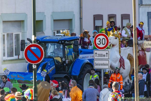 rosenmontag-buir-2025-1497C502AC9-CC44-AC58-0DEF-B2E1FE3599DA.jpg