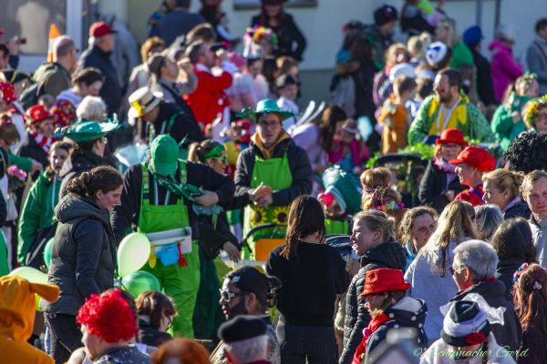 rosenmontag-buir-2025-2102E1E61C4-6A05-D127-494B-C295E6920F72.jpg
