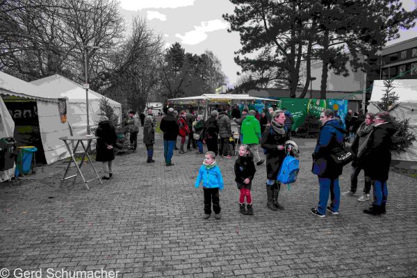 mg-00343967D202-6BFD-2E85-665C-7C8C699C429C.jpg