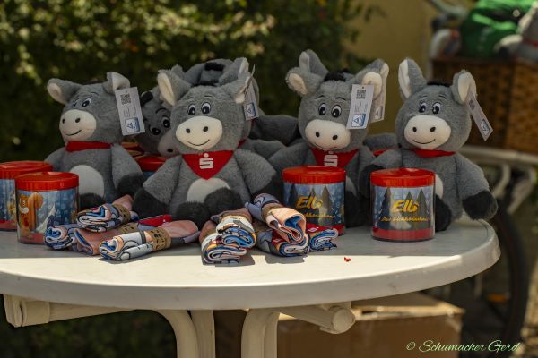 1-buirer-dorffest-06812B58AF6-F4B9-5B9E-9F1C-BAC4D4D7AC0C.jpg